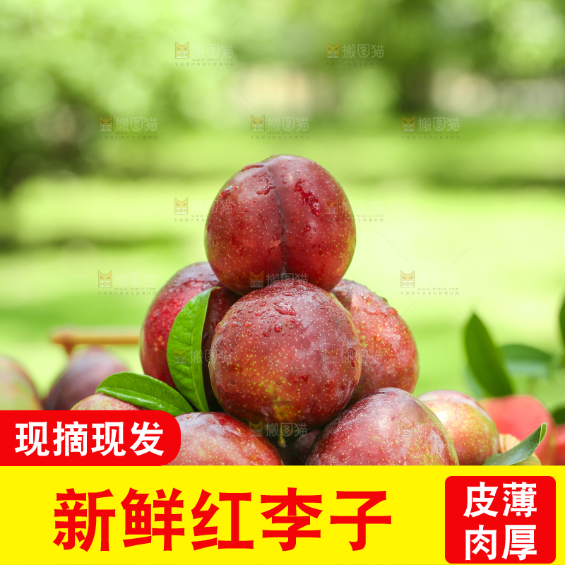 篮子里装着红肉李子