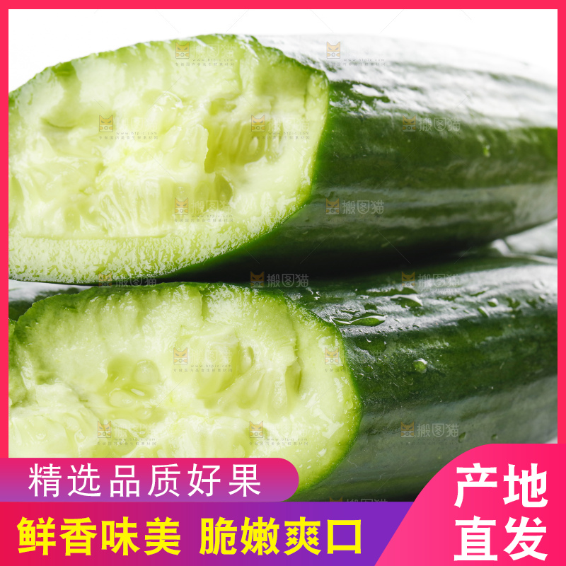 白底上摆放着嫩黄瓜