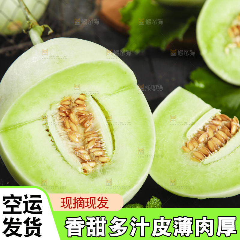 黑底上摆放着山东玉菇甜瓜