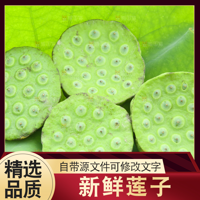 荷叶上放着莲蓬子