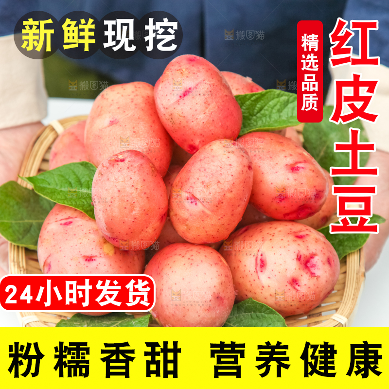 篮子里装着高山红皮土豆