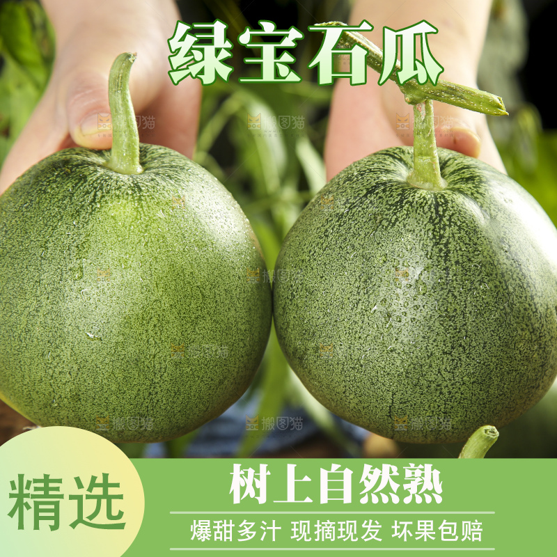 手里拿着绿宝石瓜