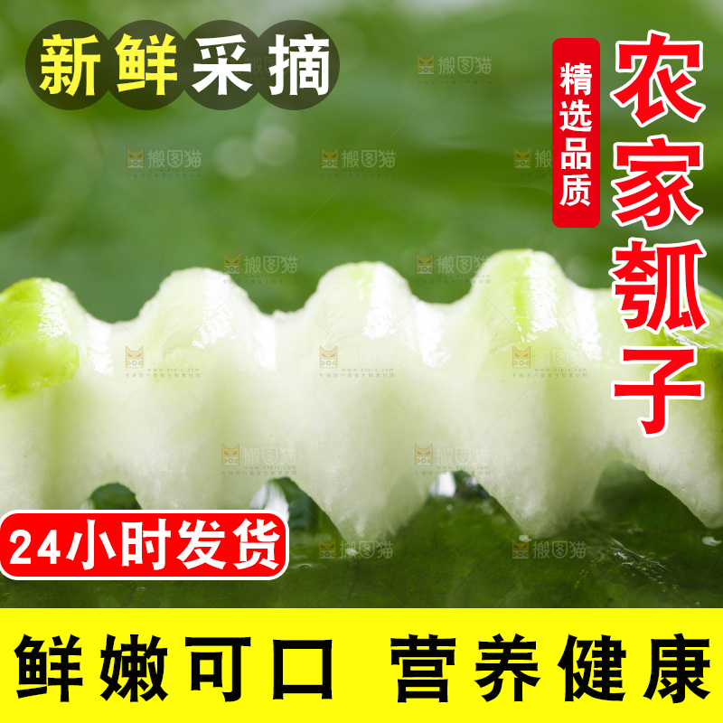 绿叶上放着切丝的瓠子瓜
