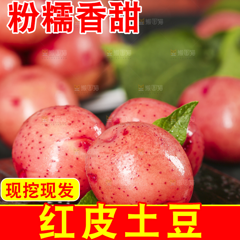 木底上摆放着红皮洋芋