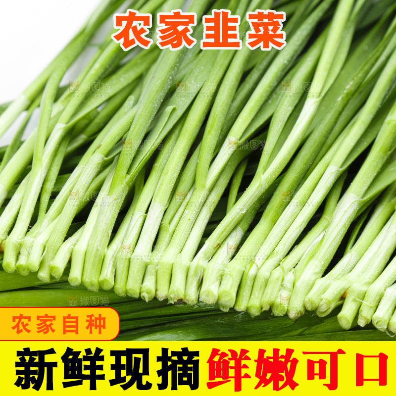 竹签上串着新鲜韭菜