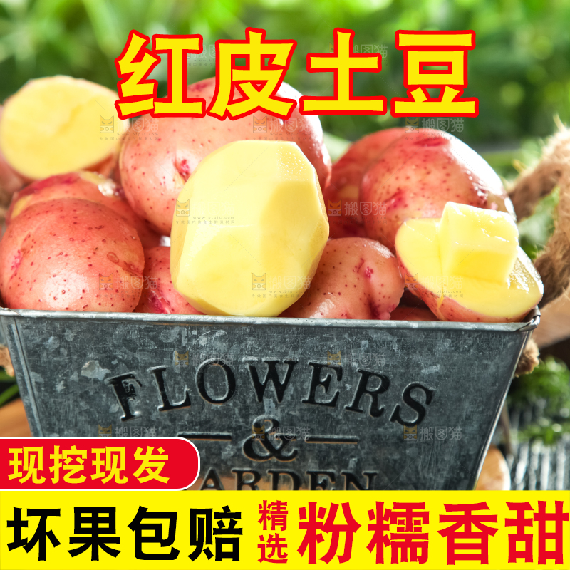 篮子里放着红皮小土豆