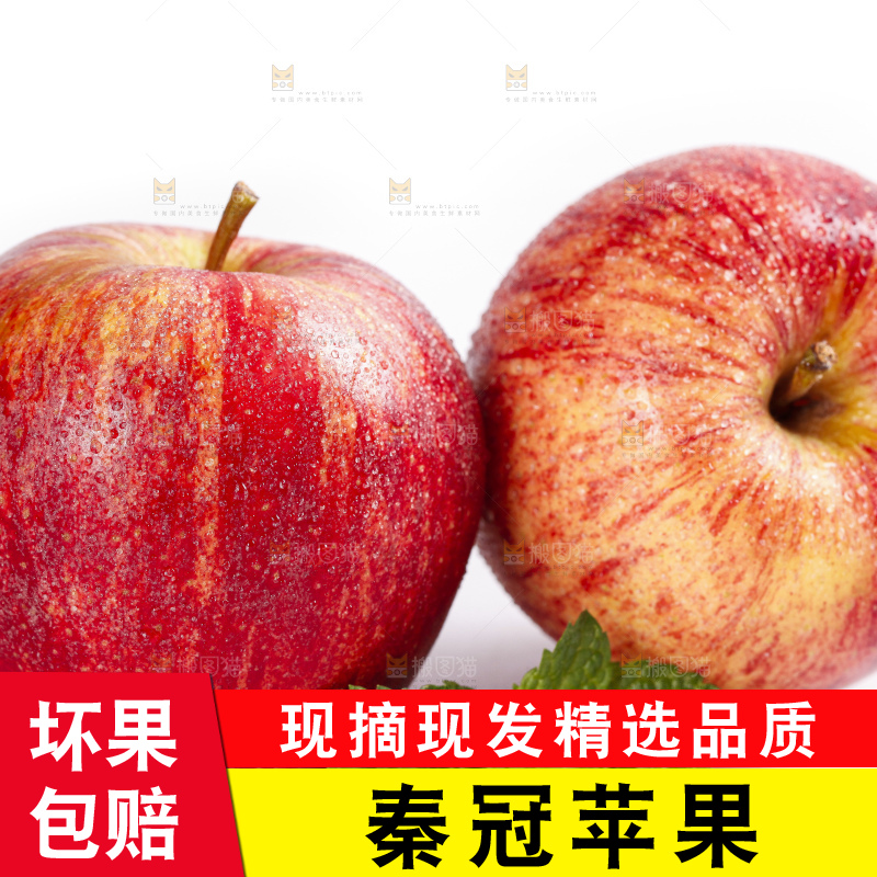 白底上放着秦冠苹果