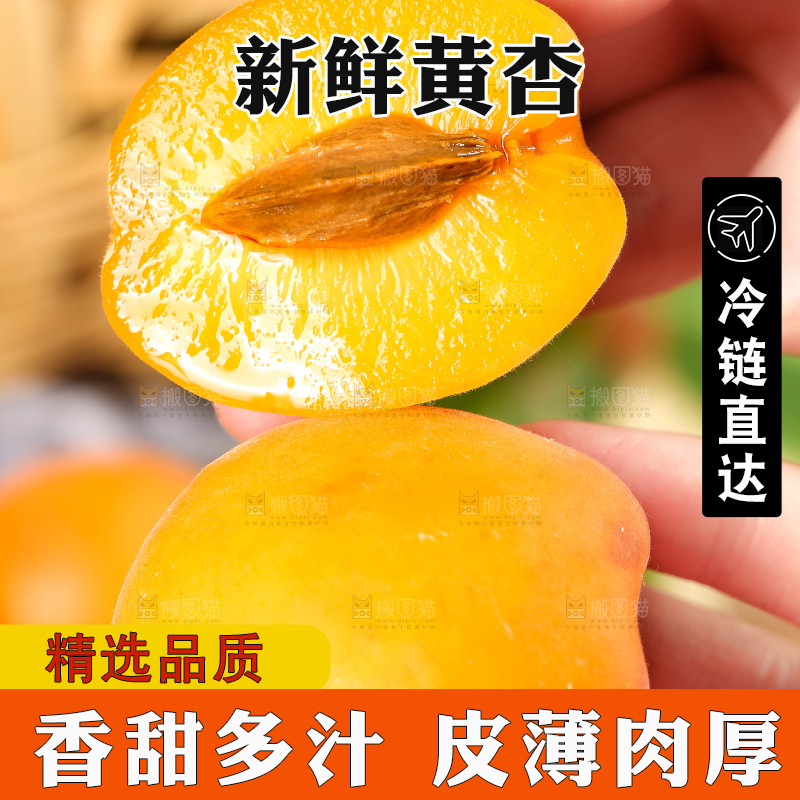 手里拿着黄杏