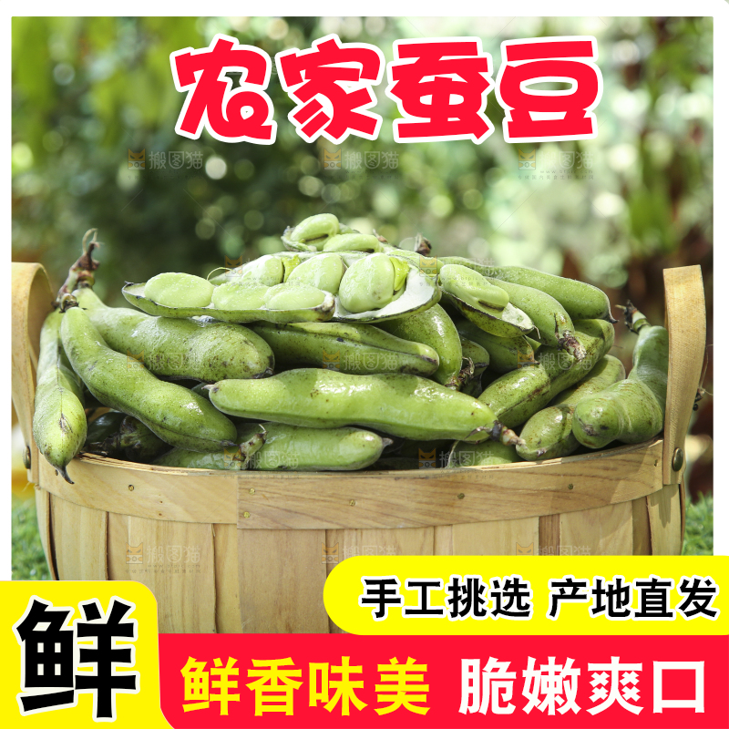 绿草地上放着一篮青胡豆