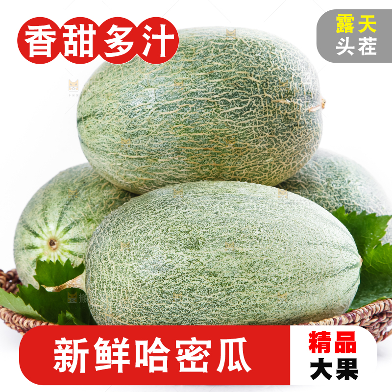 篮子里装着新疆哈密瓜