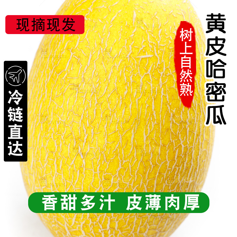 白底上摆放着黄皮哈密瓜
