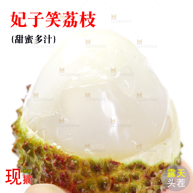 手里拿着新鲜妃子笑荔枝