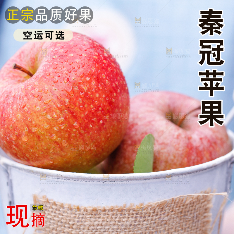手里拿着秦冠苹果