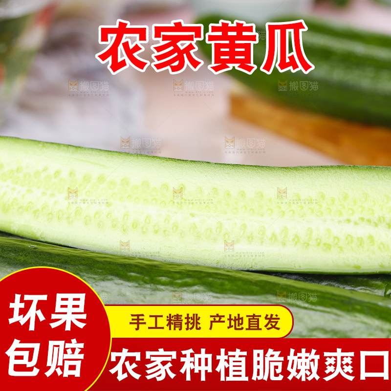 白底上放着嫩黄瓜