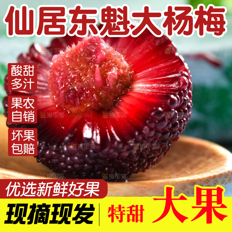 勺子上放着杨梅