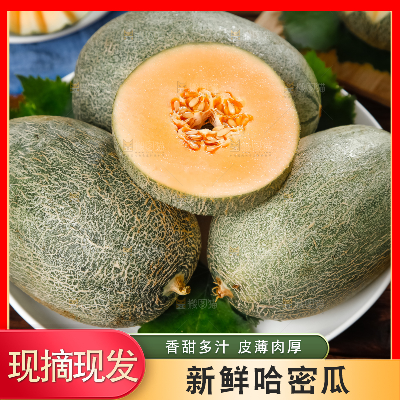 哈密瓜主图