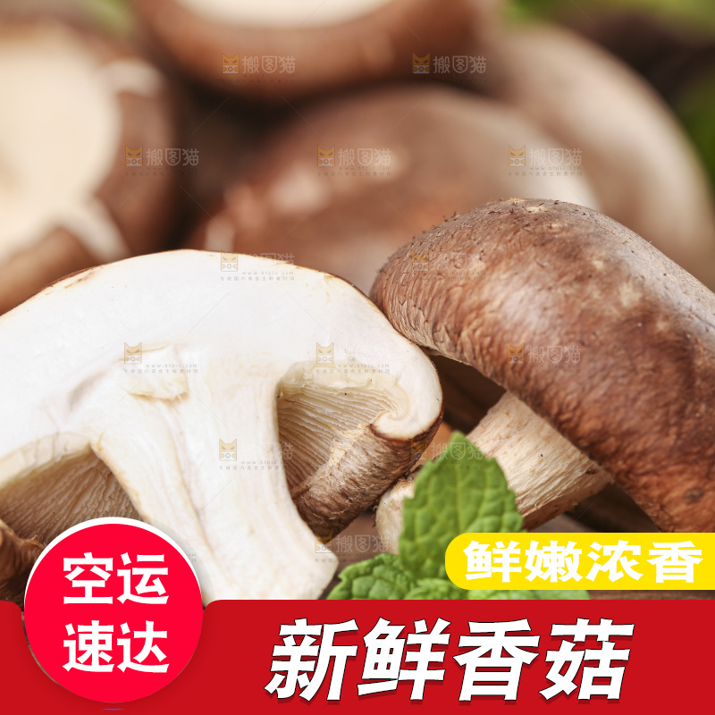 木底上摆放着菌菇