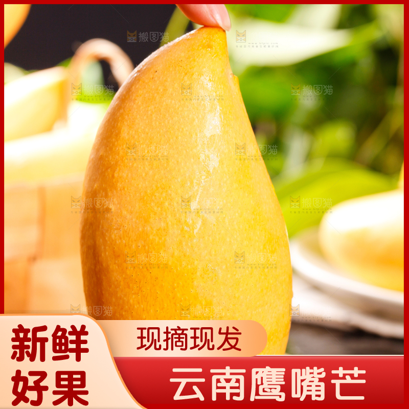 木板上放着云南鹰嘴芒