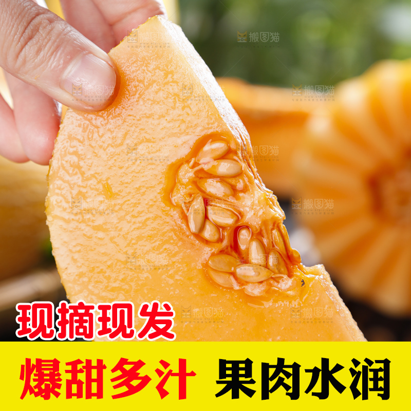 手里拿着黄皮哈密瓜