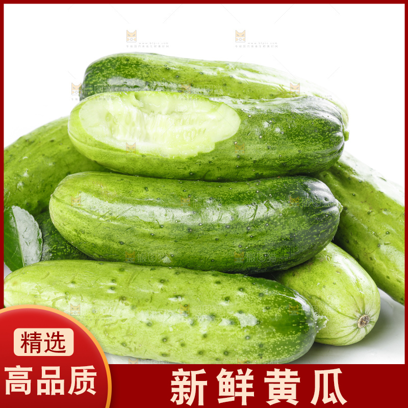 白底上放着刺黄瓜