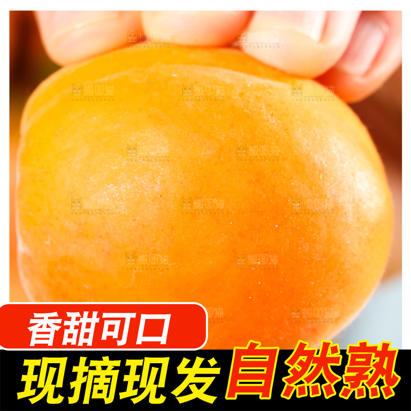 手里拿着黄杏