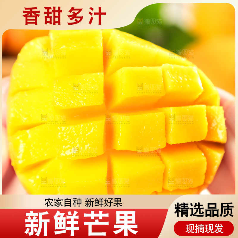 手里端着海南台农芒果