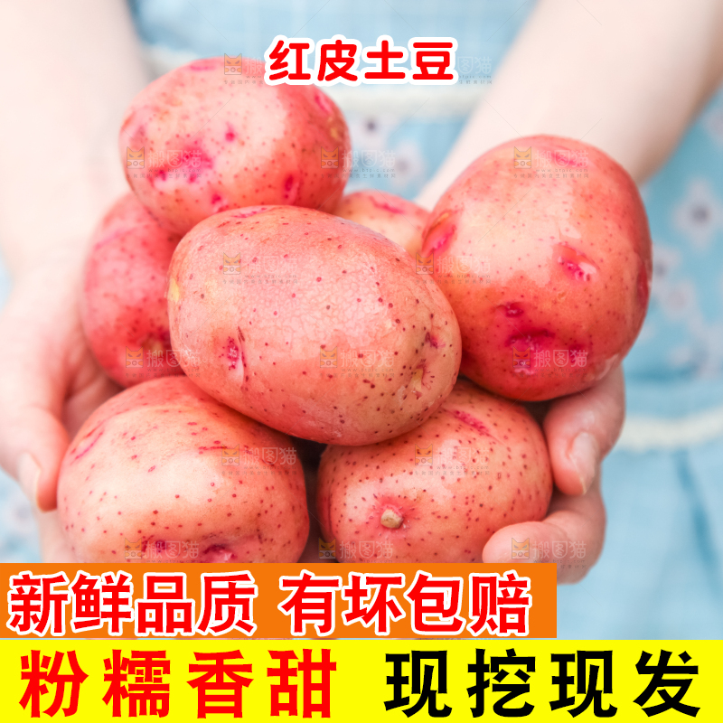 手里拿着土豆