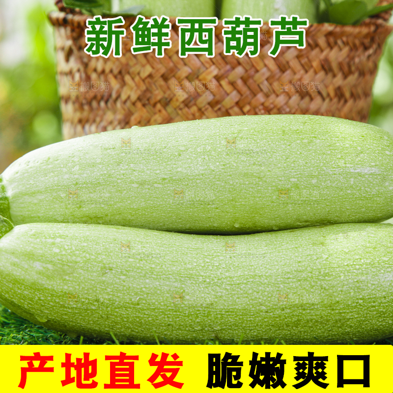 绿草地上摆放着西葫芦