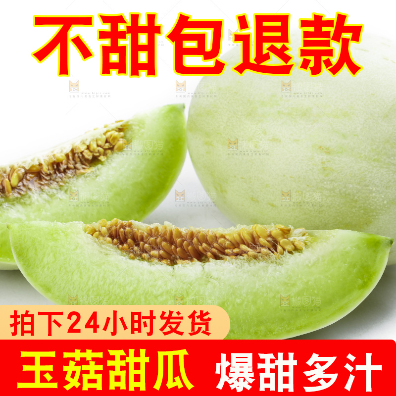 白底上摆放着山东玉菇甜瓜