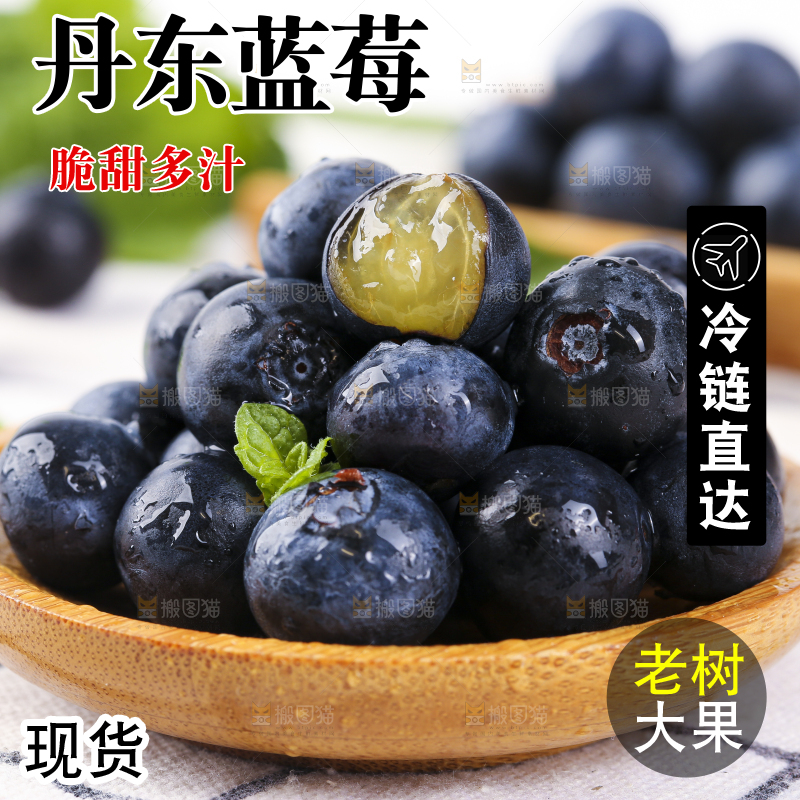 碟子里装着蓝莓果