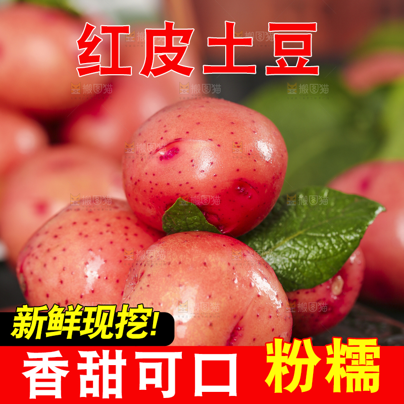 木底上摆放着红皮洋芋