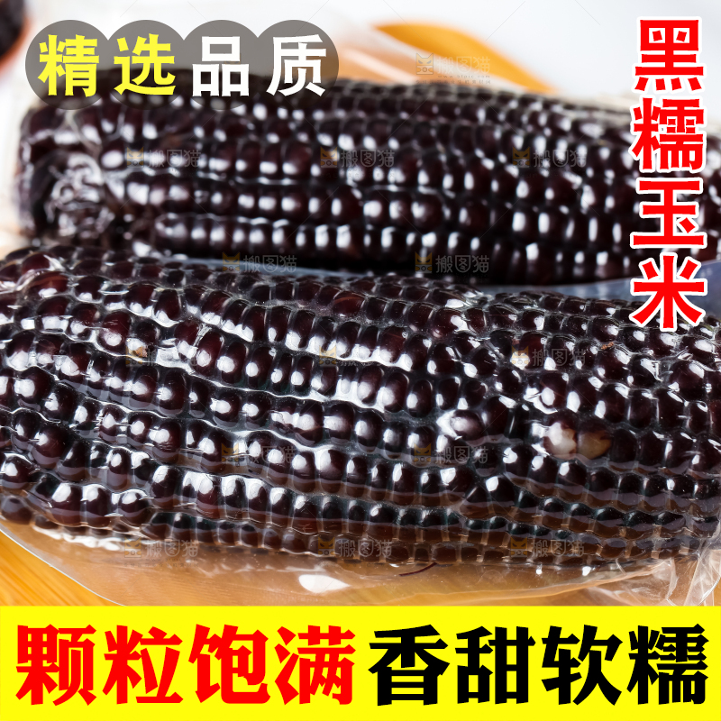 木底上摆放着东北黑玉米