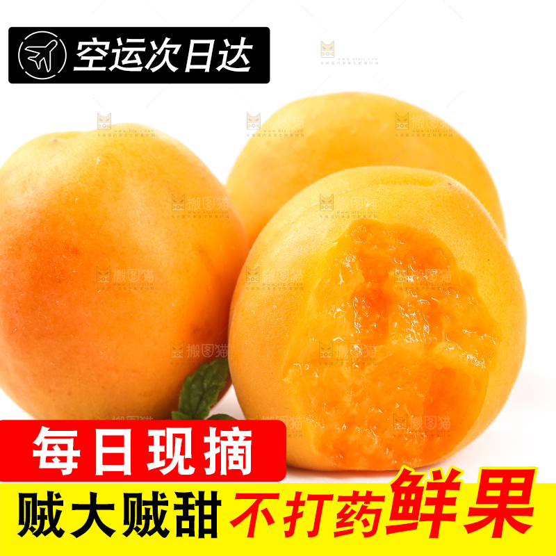 白底上摆放着杏子