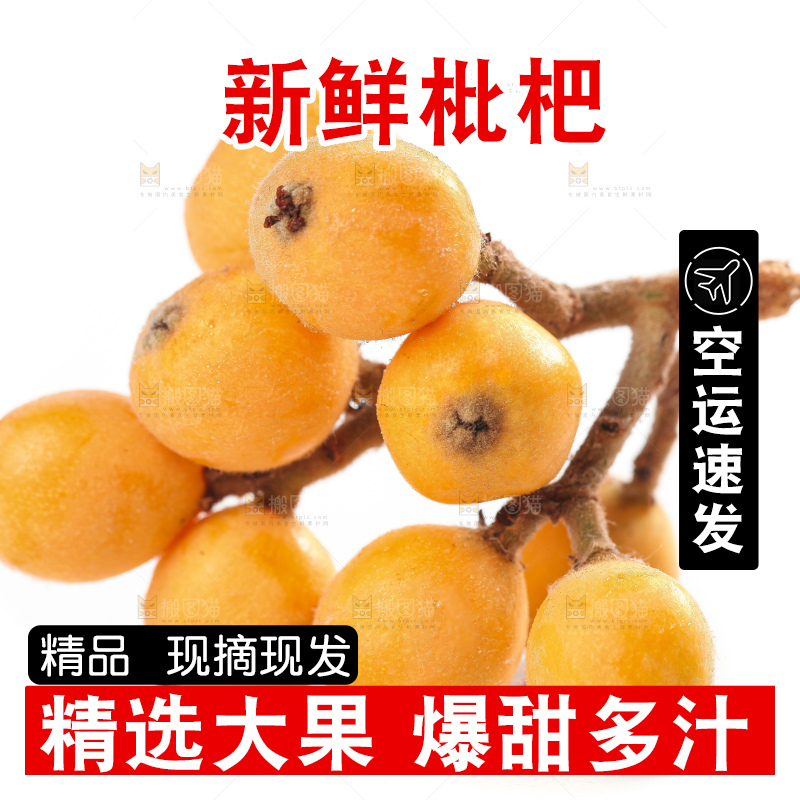 白底上放着云南蒙自枇杷