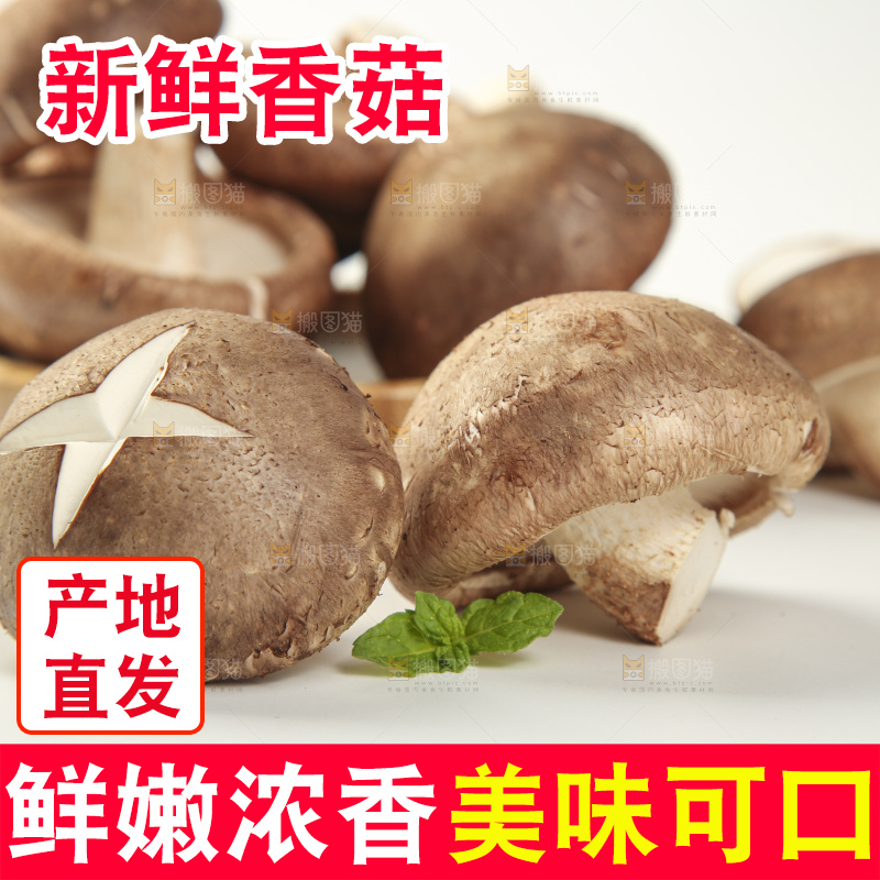 白底上放着香菇