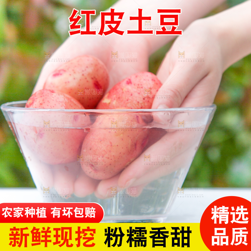 盆子里装着正在清洗的土豆