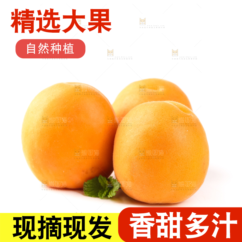 白底上放着陕西新鲜大黄杏