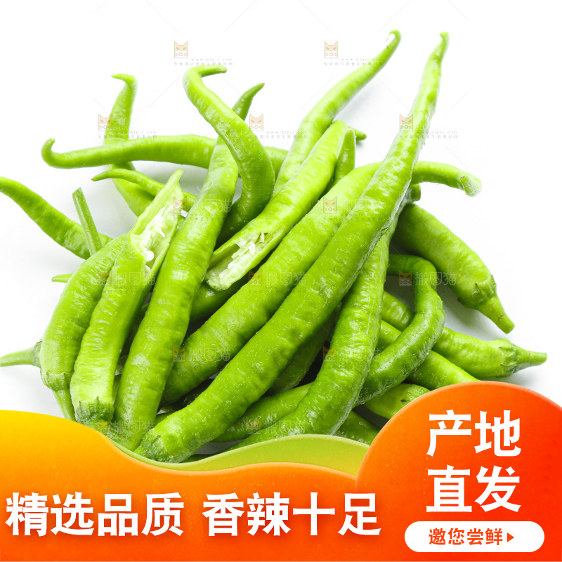 白底上摆放着青尖椒