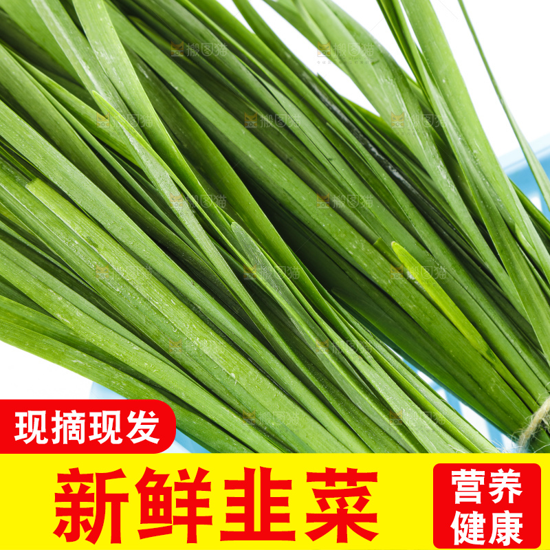 篮子里装着嫩韭菜