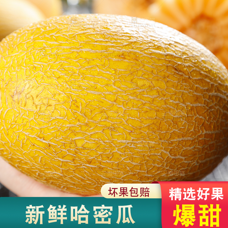 手里拿着黄皮哈密瓜