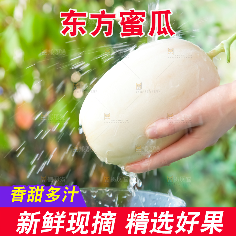 手里拿着东方蜜瓜