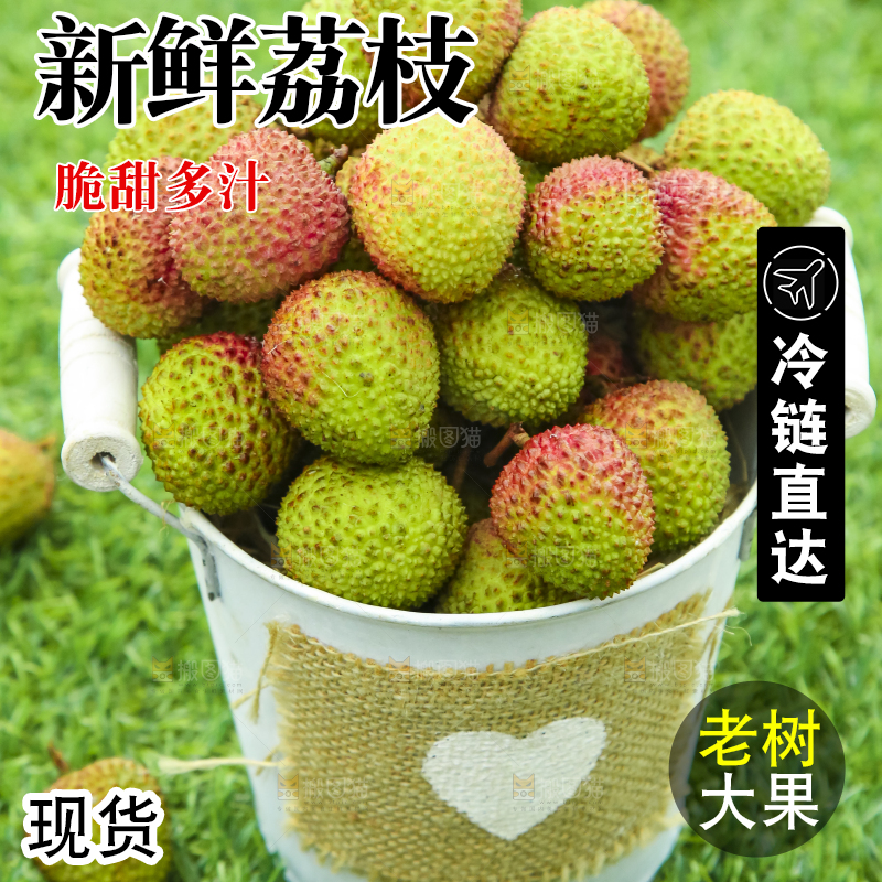 小桶里装着鲜荔枝