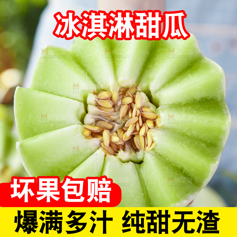 手里拿着山东玉菇甜瓜