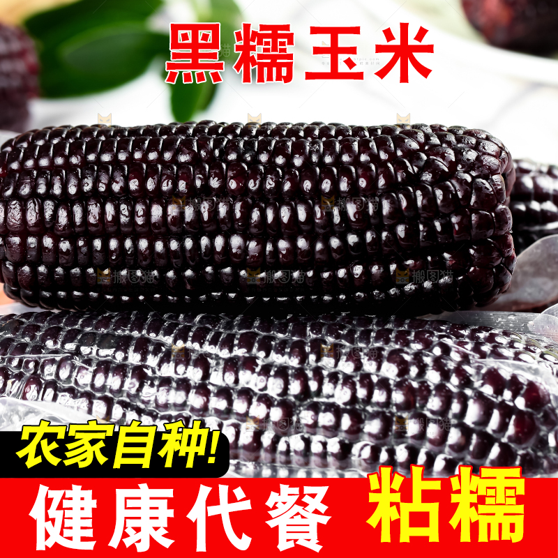 木底上放着紫黑玉米