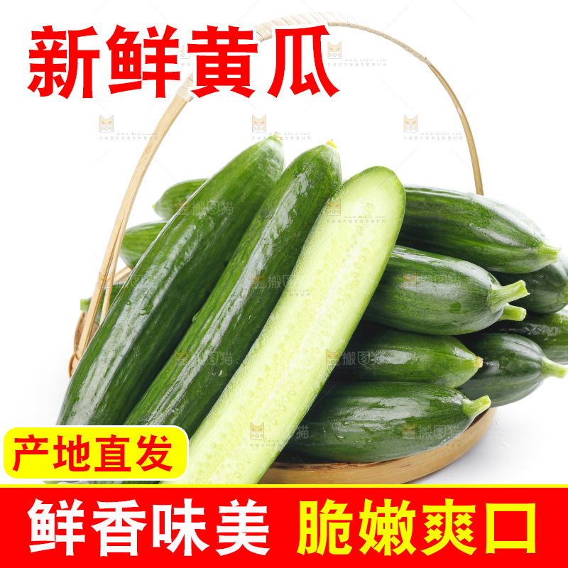 篮子里装着水果黄瓜