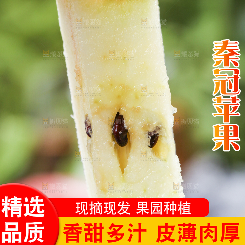 手里拿着秦冠苹果