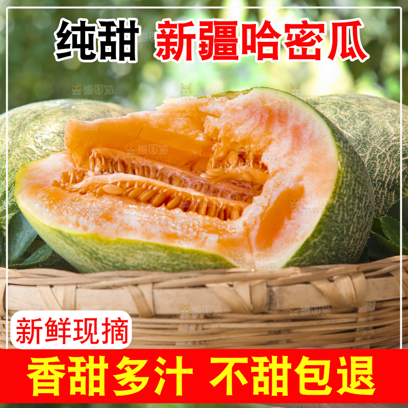 哈密瓜主图