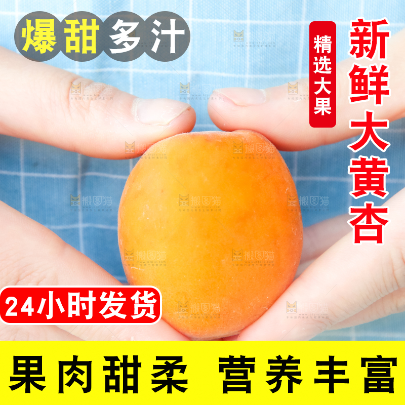 手里拿着秦岭头茬大黄杏
