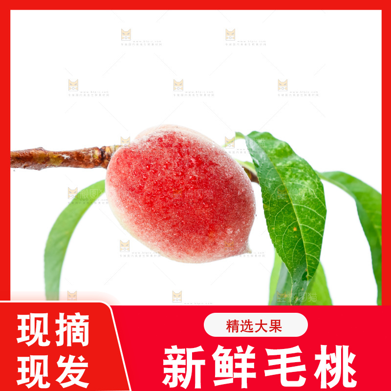 白底上摆放着甜桃子
