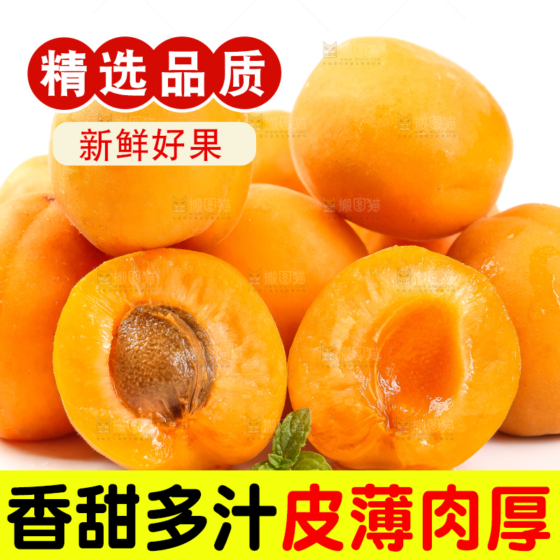 白底上摆放着杏子